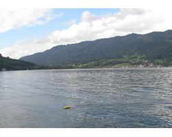 9/2014: Hornet na Attersee